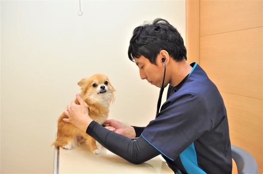 公式 岐南町の獣医 ペットホテルなら ボス動物病院