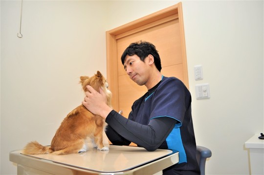 院長ごあいさつ 公式 岐南町の獣医師 ペットホテルなら ボス動物病院